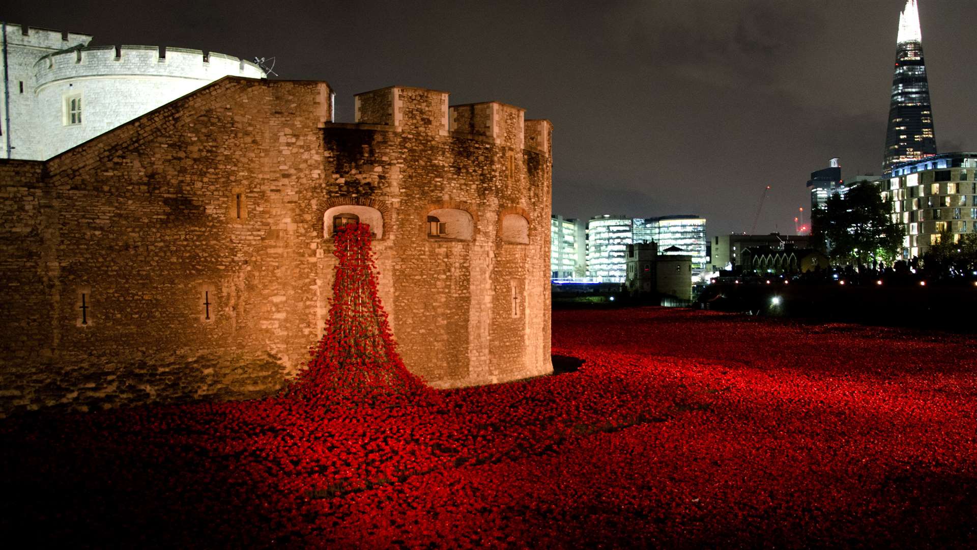 The brilliant poppy display at the Tower of London