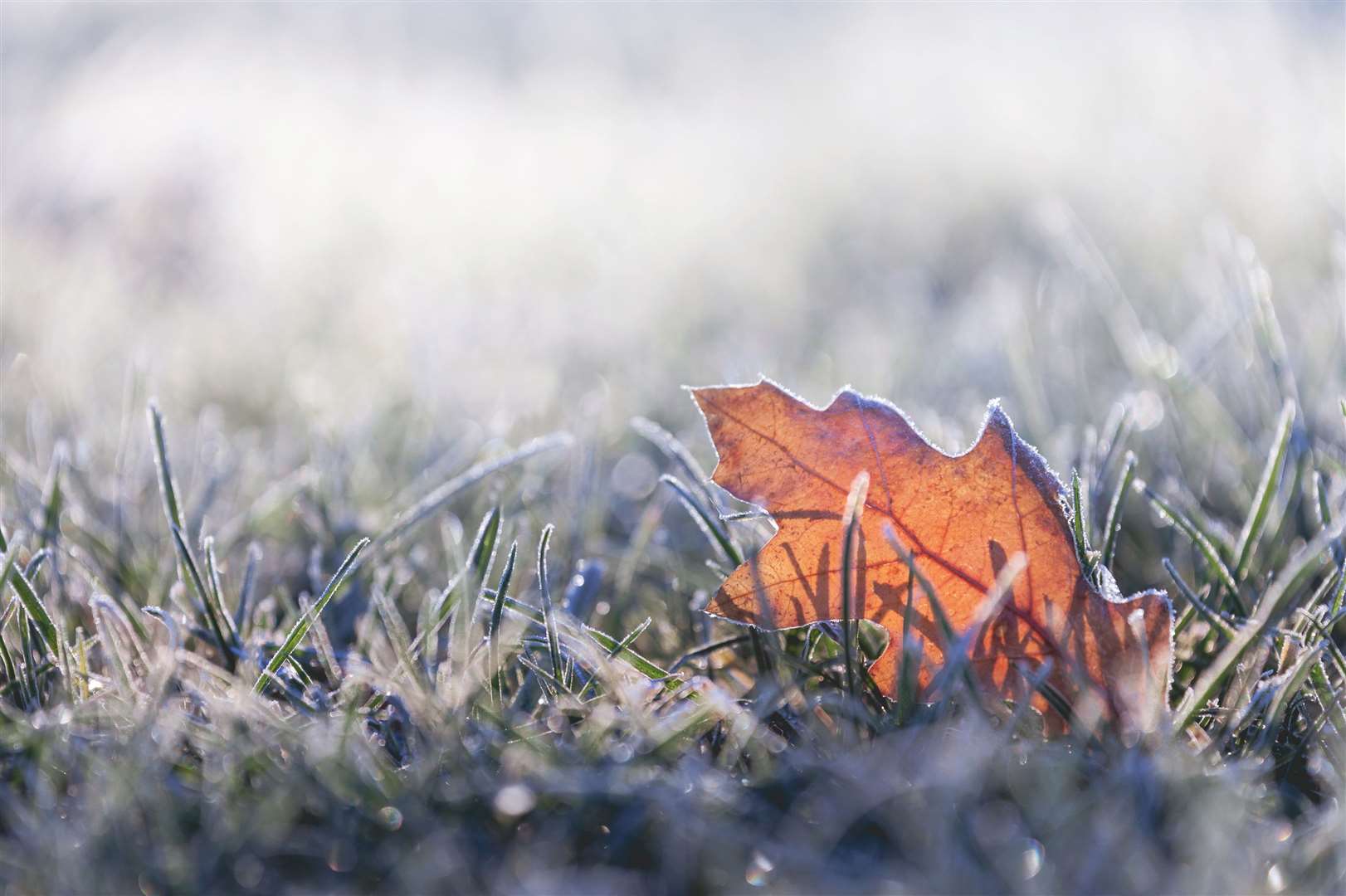 There’s few signs of autumn in September’s early forecast. Image: iStock.