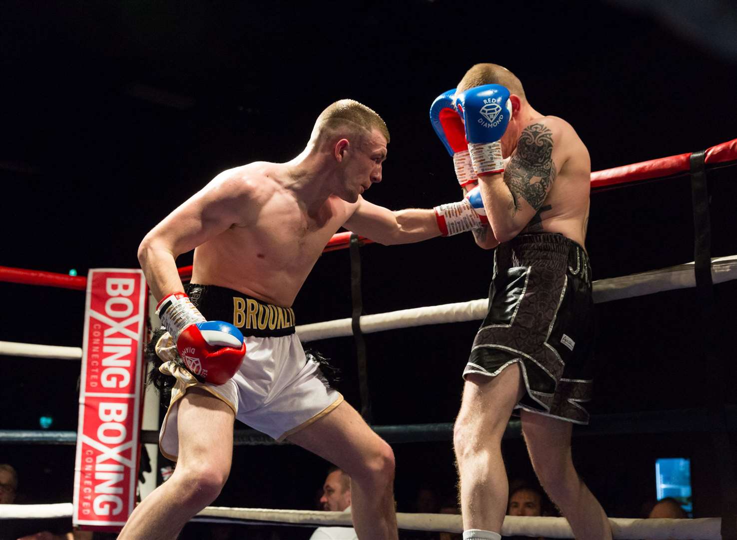Brooklyn Tilley (black/white) versus Luke Middleton in Boxing Connected's"Back with a Bang" event at Mote Park Picture: Countrywide Photographic