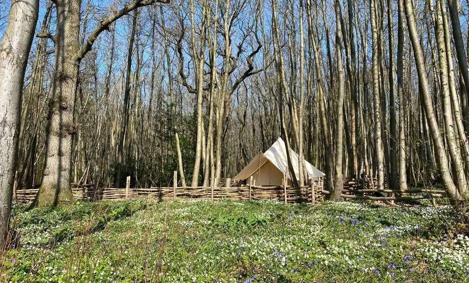 Pack your tent and sleeping bags and take the kids on a camping adventure this half term. Picture: Facebook / Badgells Wood