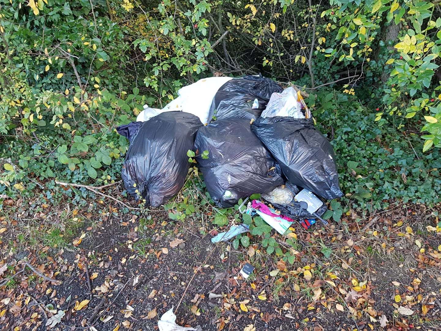 Rubbish dumped in Ridgeway Road, Herne Bay. Picture: Canterbury City Council