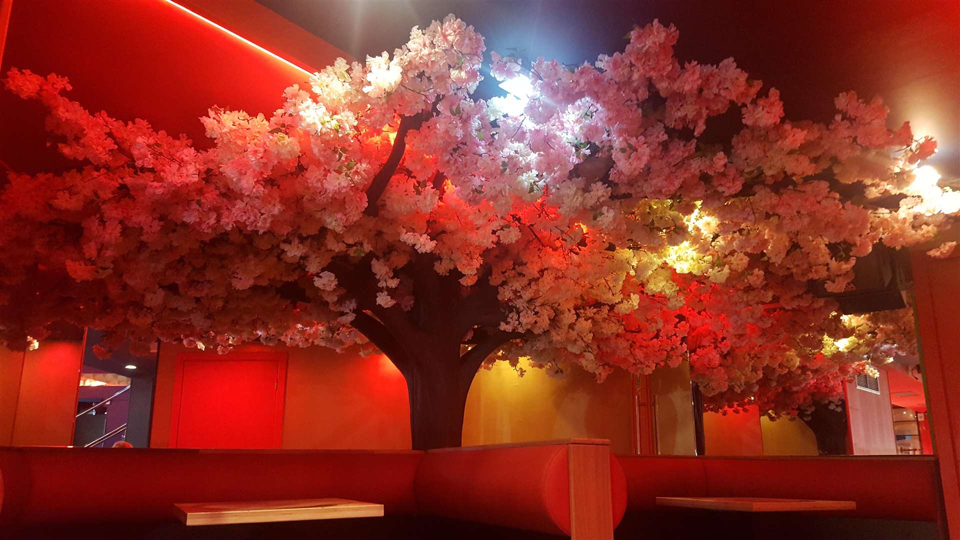 Ornamental cherry trees add to the Japanese ambience