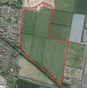 Where the homes on Lady Dane Farm, Faversham, will be built