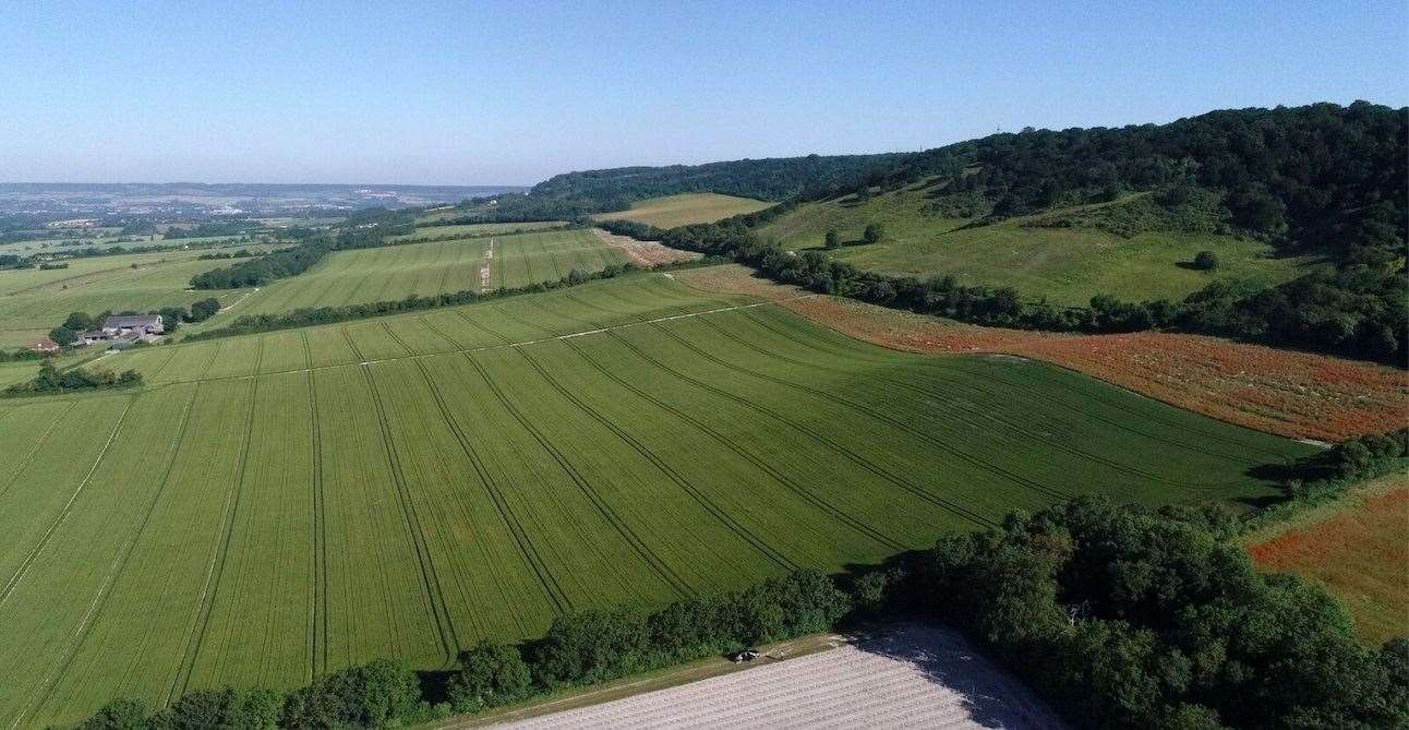 Chapel Down has started planting on new 388-acre site in Sandling, near Maidstone (9322086)