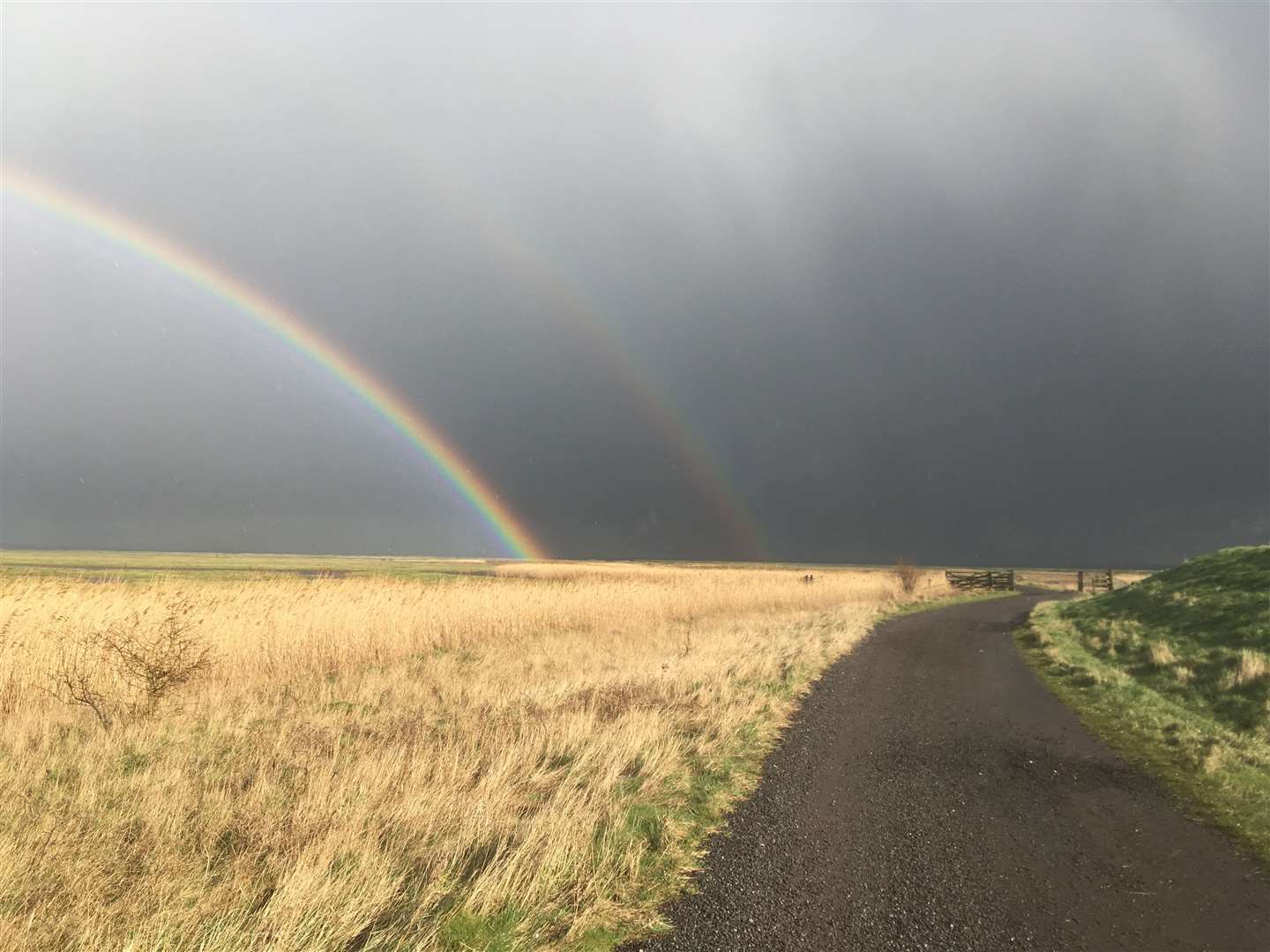 Rainbow at Elmley Nature Reserve, Sheppey. Picture: John Nurden