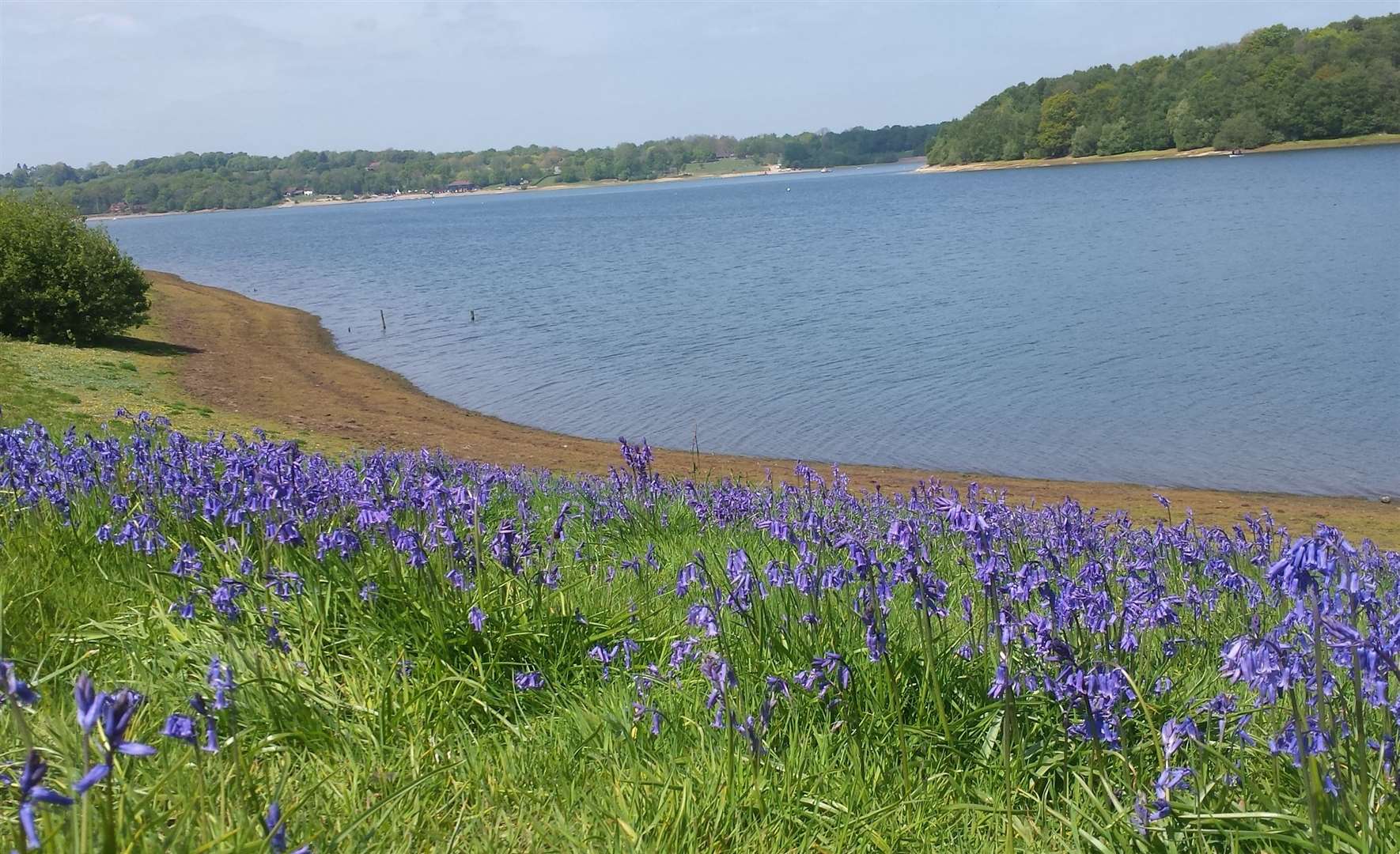 Bewl Water