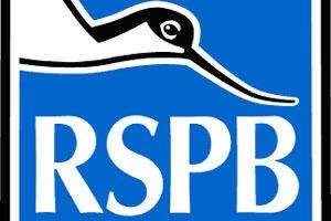 Charity RSPB is encouraging people to report thefts.