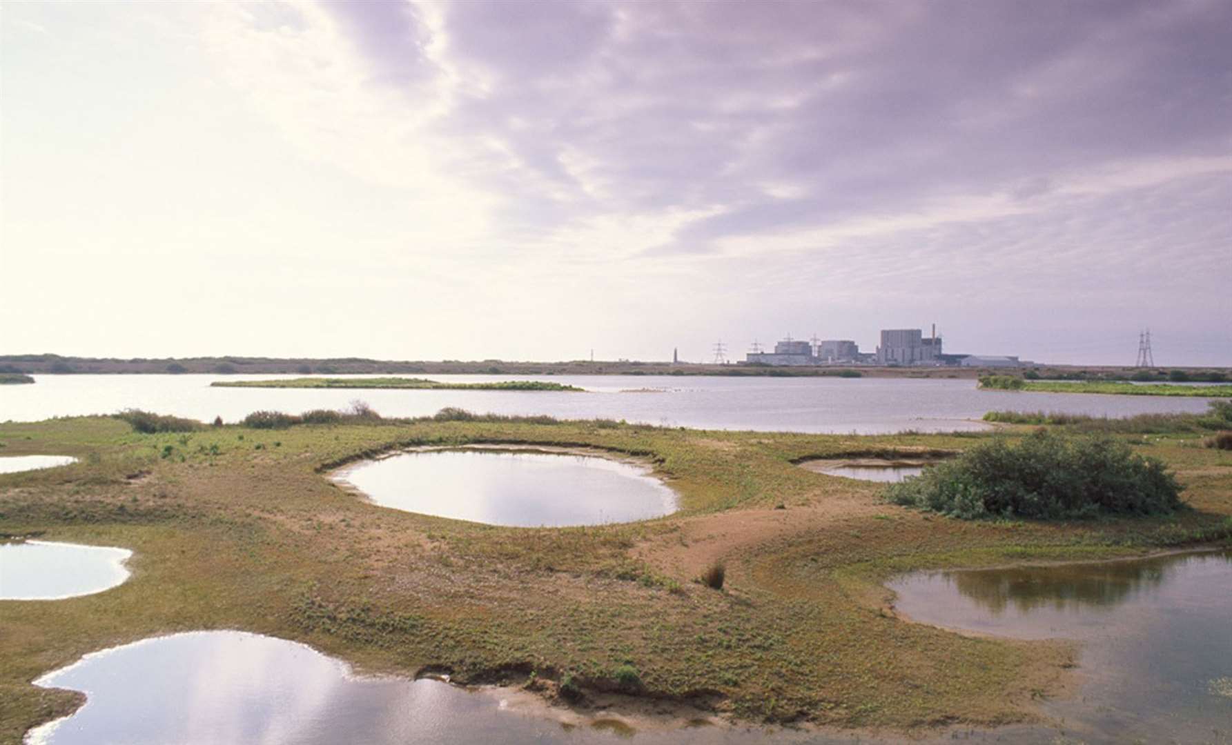 Birds fly across ponds on the edge of Burrowes Pit, with Dungeness in the background
