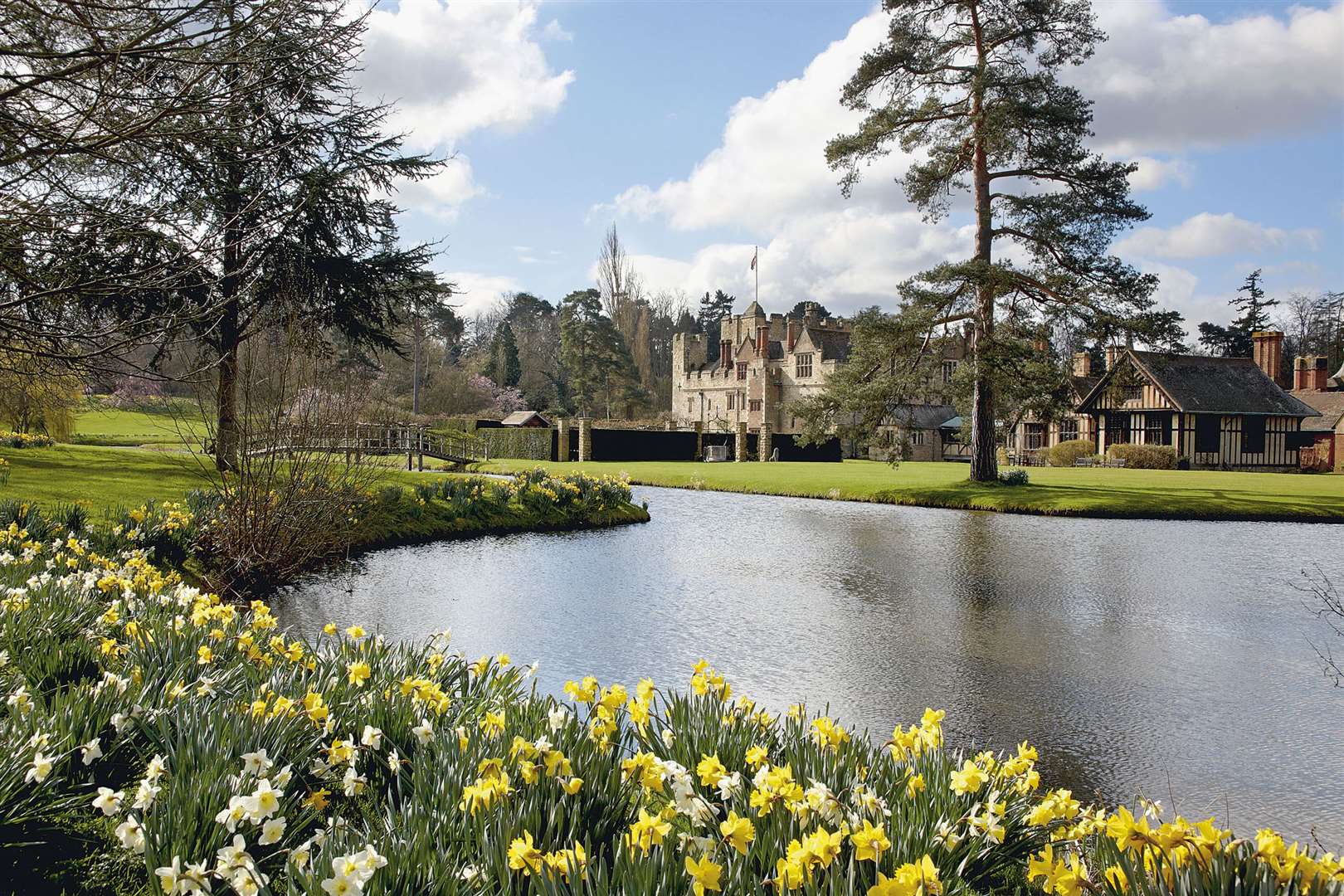 The daffodils will be out in full bloom during the school holidays. Picture: Hever Castle and Gardens