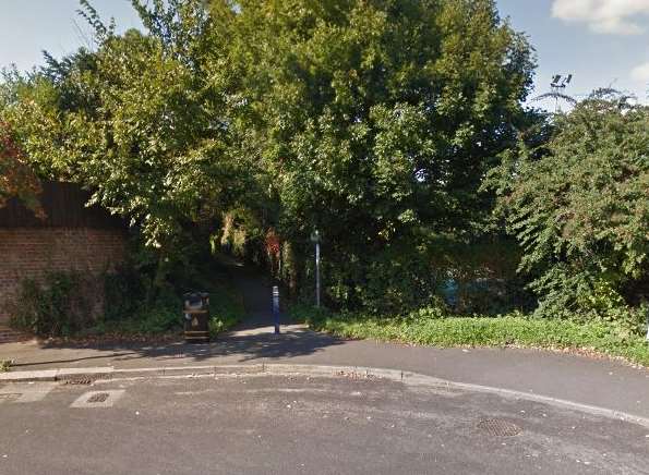 The incident happened in the alleyway at the bottom of Radnor Park Avenue and Avereng Road. Picture: Google Street View.