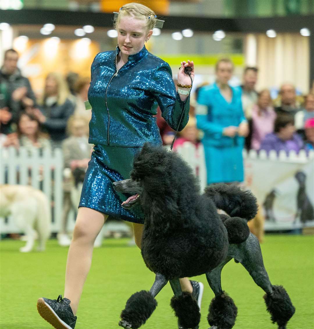 Morgan Tate-Shoosmith, aged 14 from Herne Bay, and Cuba, a four-year-old standard poodle. Picture: Flick.digital 2022