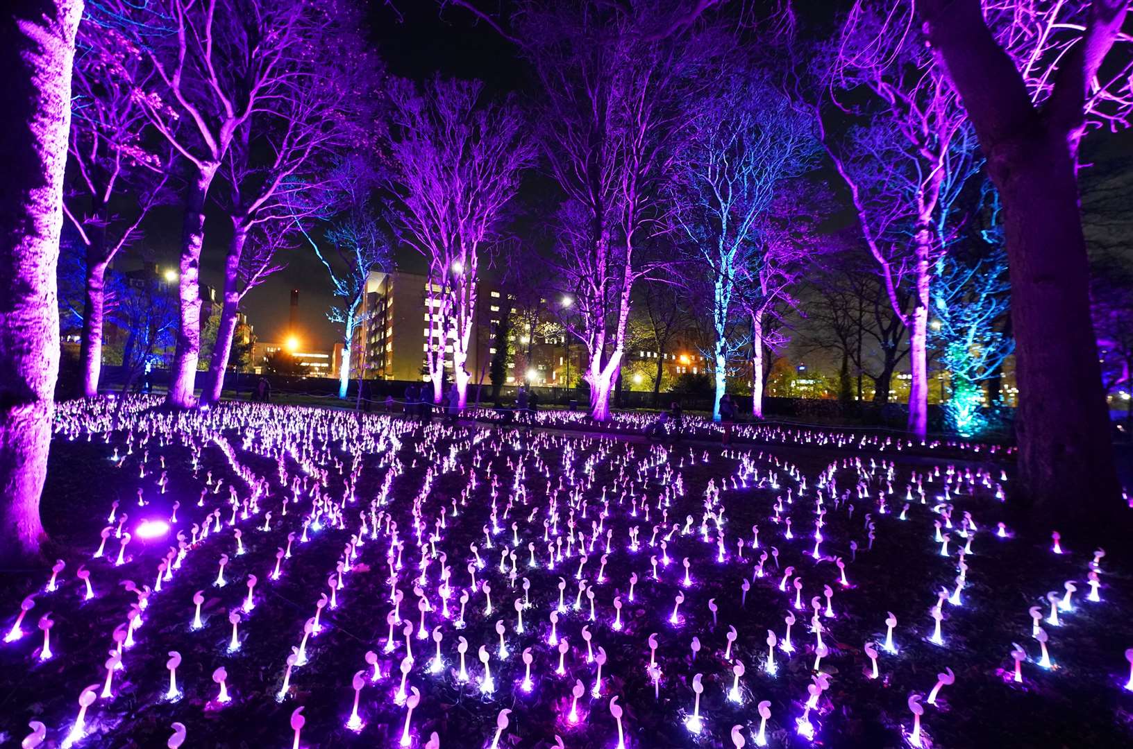 Leazes Park in Newcastle was transformed into the Northern Lights Christmas Trail, a mile-long walk through illuminations, sculptures and special effects (Owen Humphreys/PA)