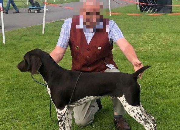 Alfie, a German Shorthaired Pointer, suffered burns when he and his owner Michael had acid thrown at them (3729126)