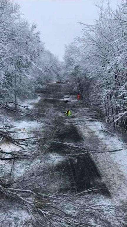 Fallen trees completely block Walderslade Woods Road. Pic from Paul Burch. (6927514)