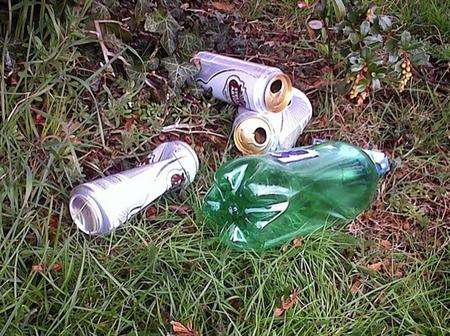Tins and bottles litter a park