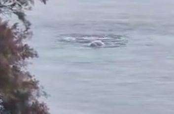 A strange bubbling has been spotted in the sea in Folkestone. Picture: Jamie Clarke