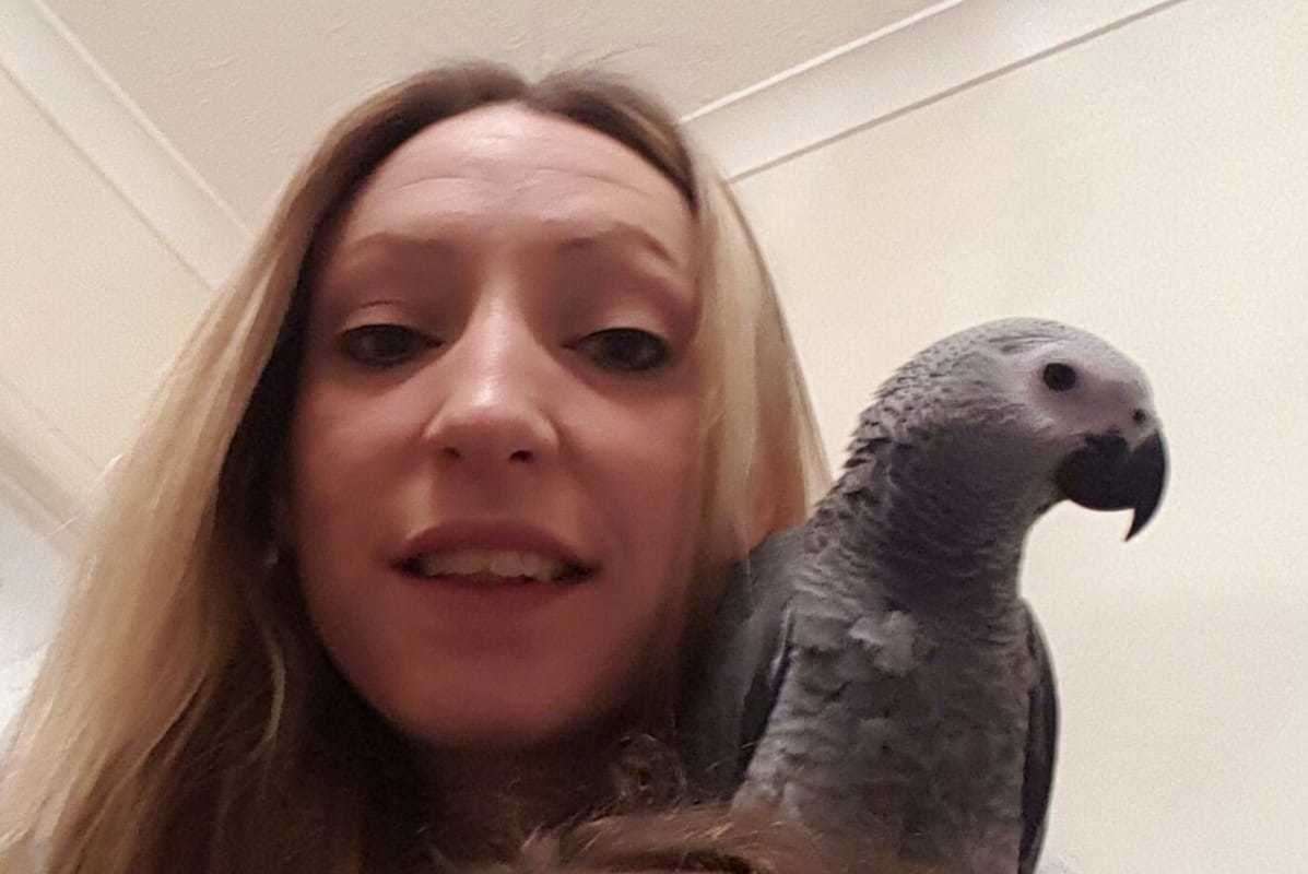 Elle Mier is appealing for anyone with information about the parrot's whereabouts to get in touch