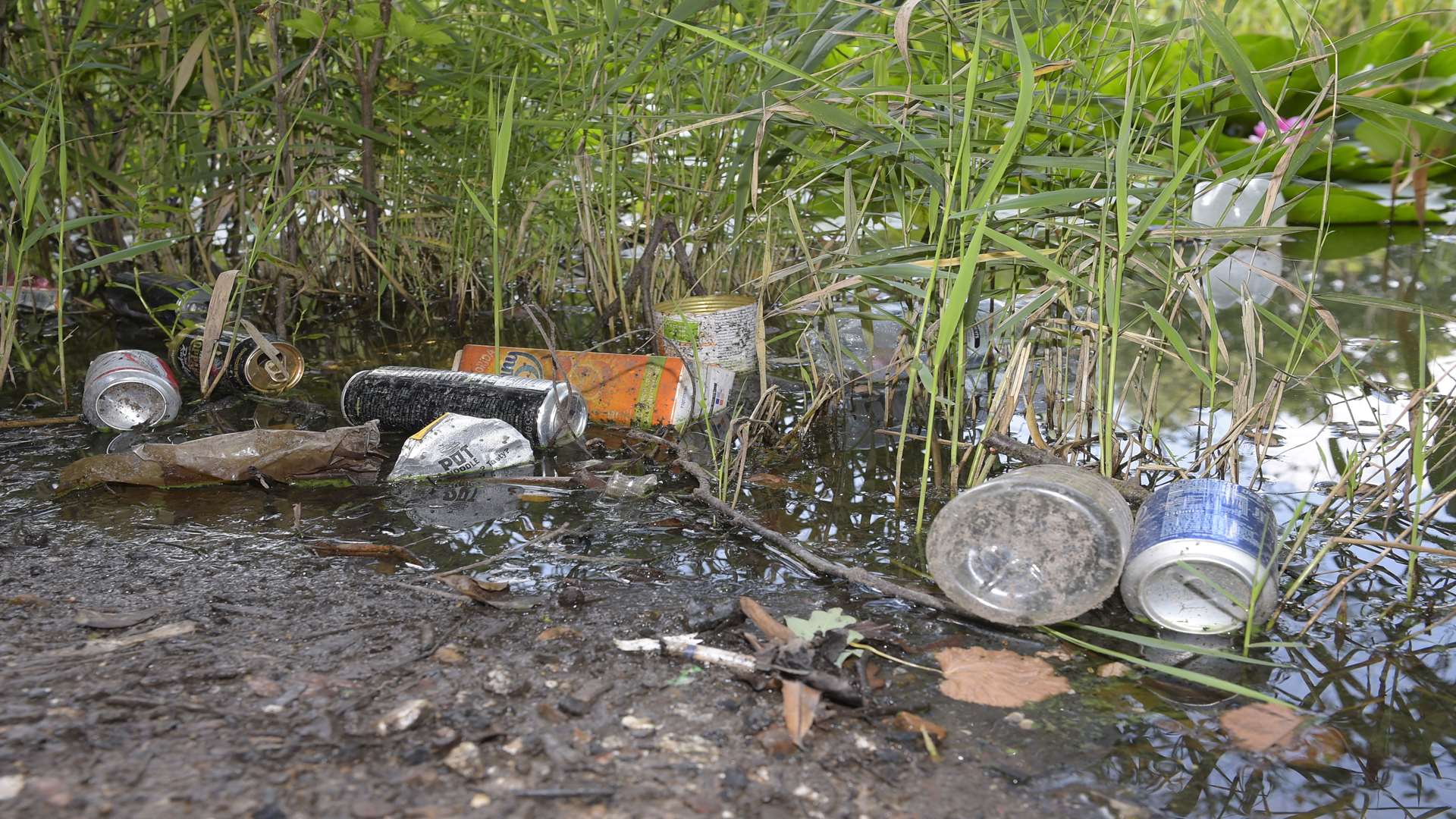The land, owned by the MoD, is targeted by litterbugs
