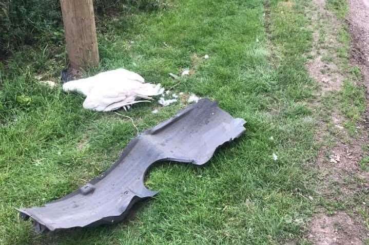 One of the geese killed near Ridley Court Farm