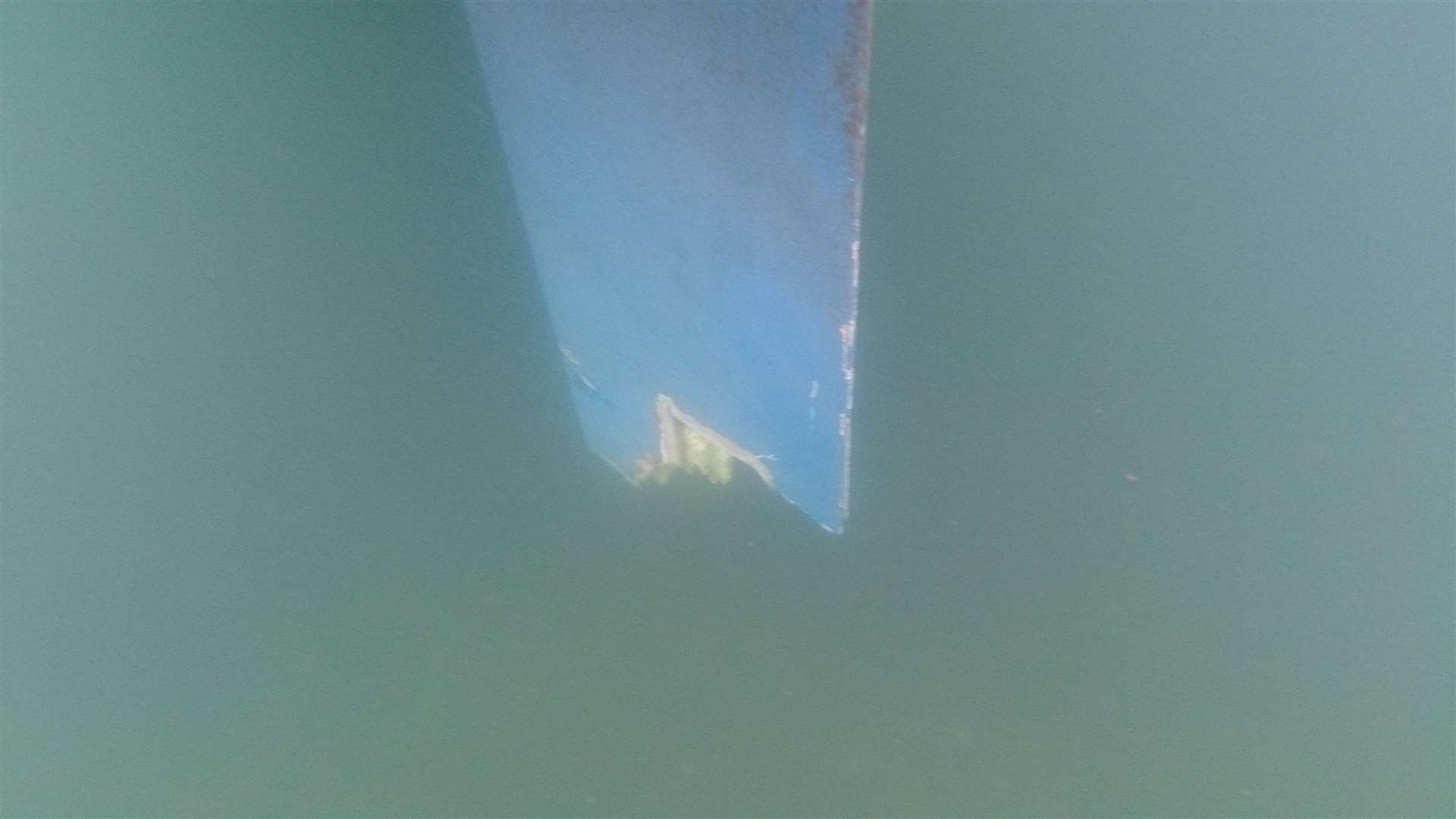 A chunk of the rudder was bitten off. Picture: SWNS