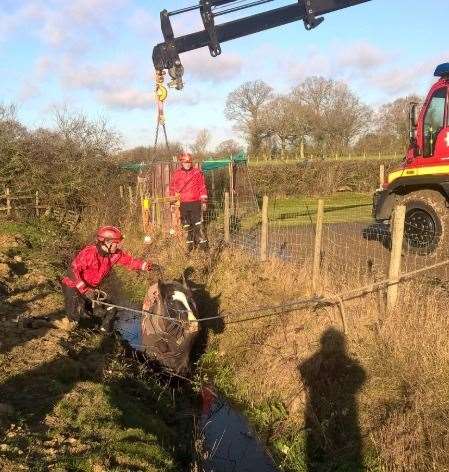 The horse was lifted out of the ditch by a crane. Picture: KFRS