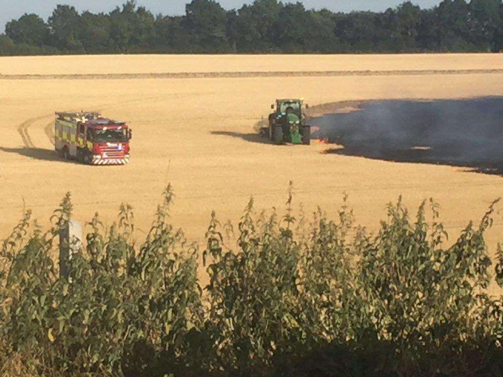 The field fire in Shorne. Picture: Claire Hylands