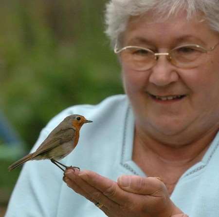 UP CLOSE AND FRIENDLY: Kath Jacobs with one of the tame robins. Picture: MIKE SMITH