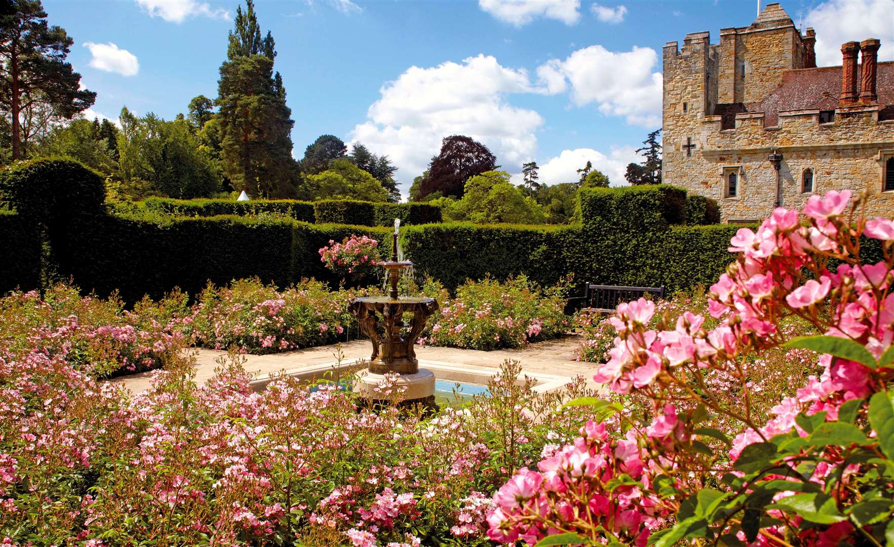 Val Bourne is an organic gardener who has been growing roses for 17 years. Picture: Hever Caste and Gardens