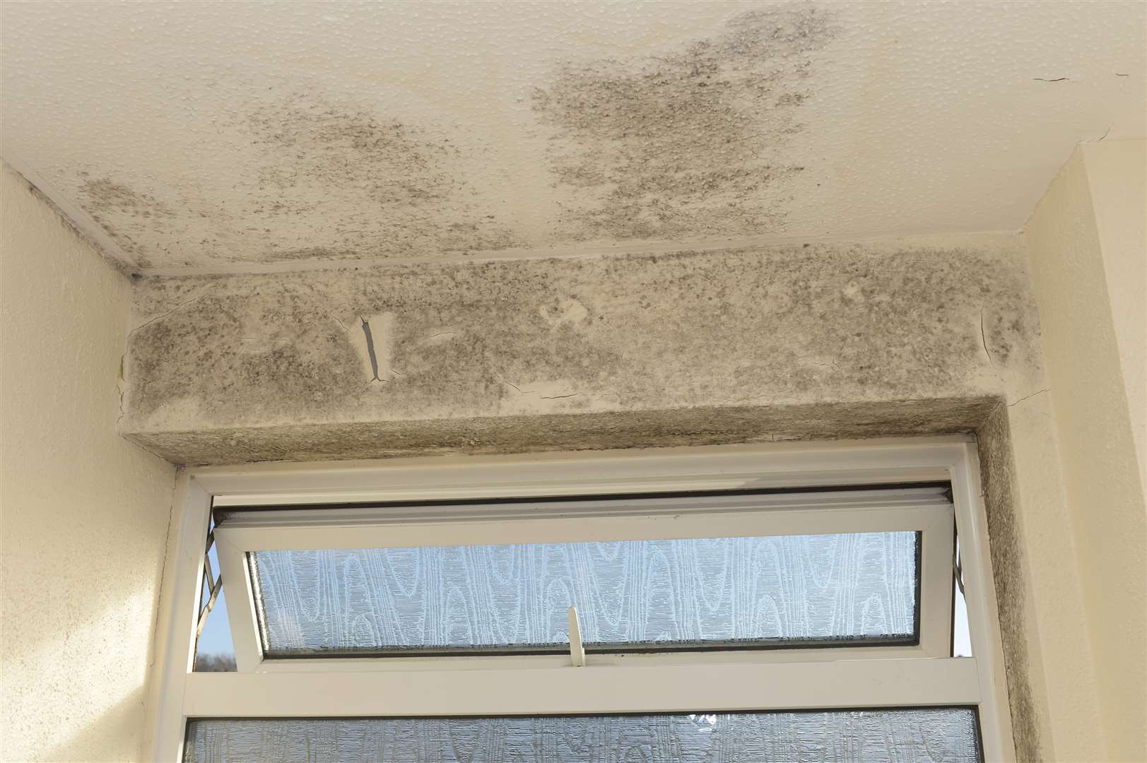 Tenants were left in houses riddled with damp. Stock picture