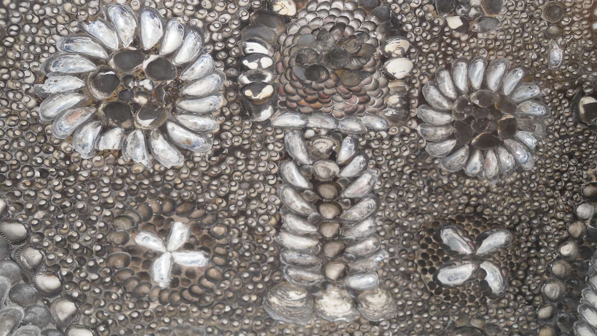 Margate has the beautiful Shell Grotto