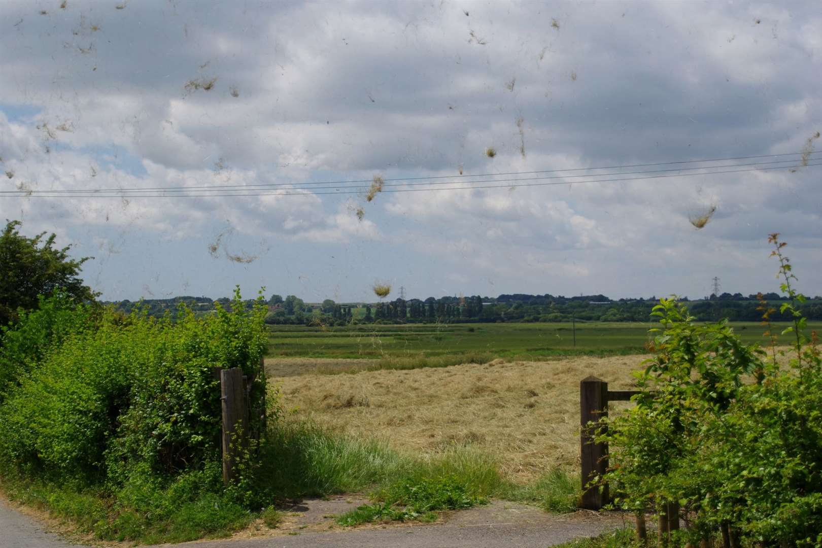 Grass was thrown into the air by a dust devil near Sandwich. Picture: Andy Vilday