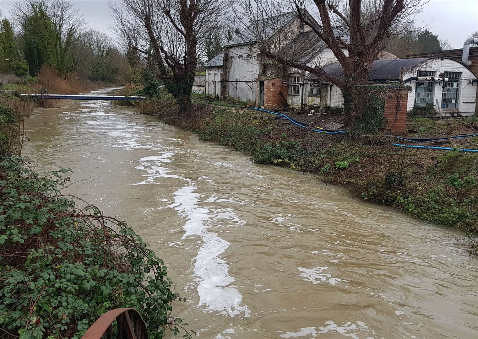 The river was high in Chartham this weekend