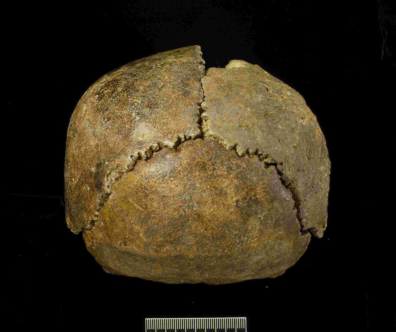 The Swanscombe Skull was found at Barnfield Pit outside the town. Picture: Natural History Museum