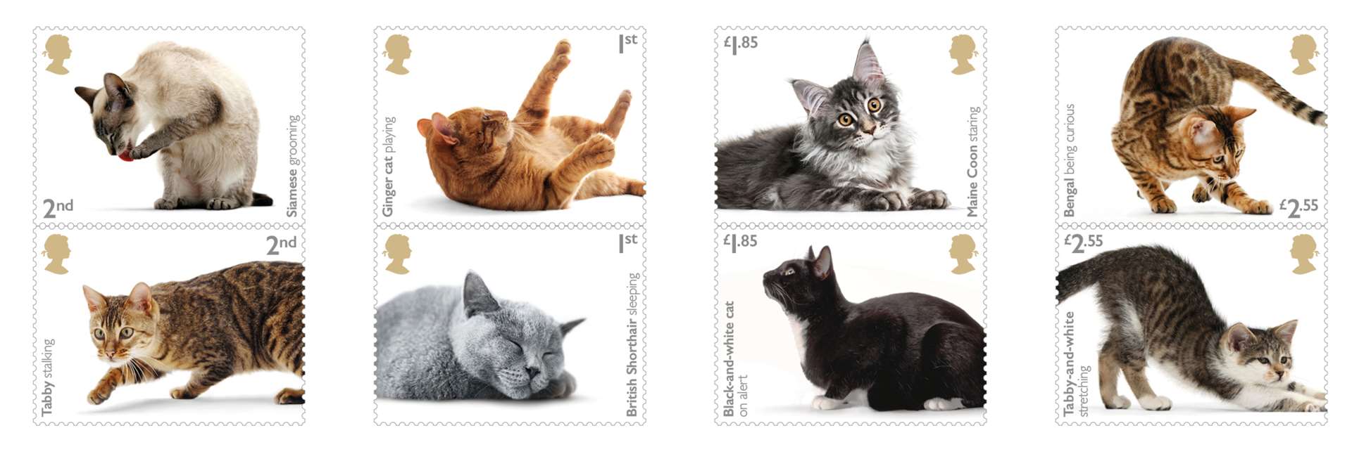Eight cats were chosen for the collection. Picture: Royal Mail.