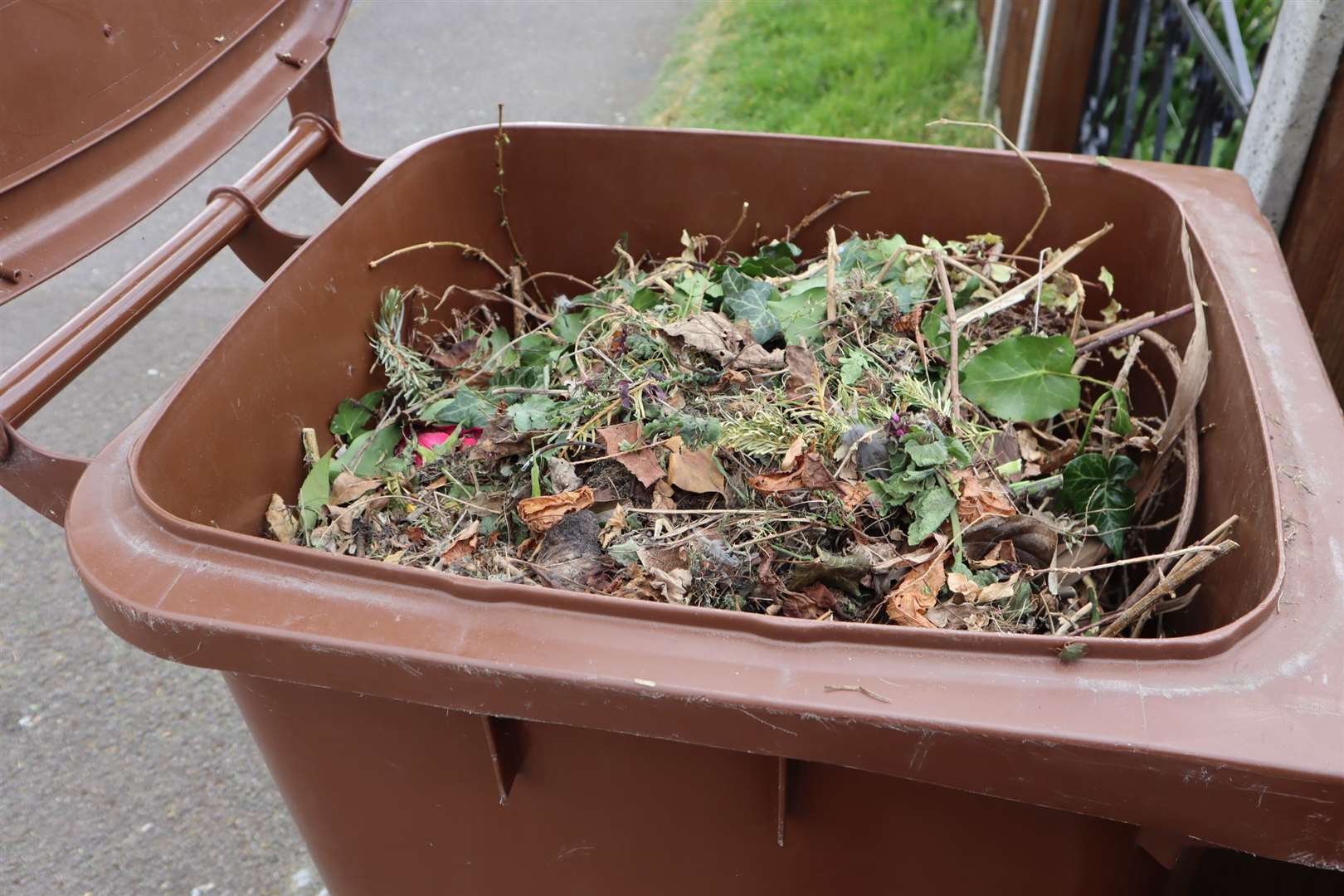 Brown bin collections for garden waste have been suspended in Swale