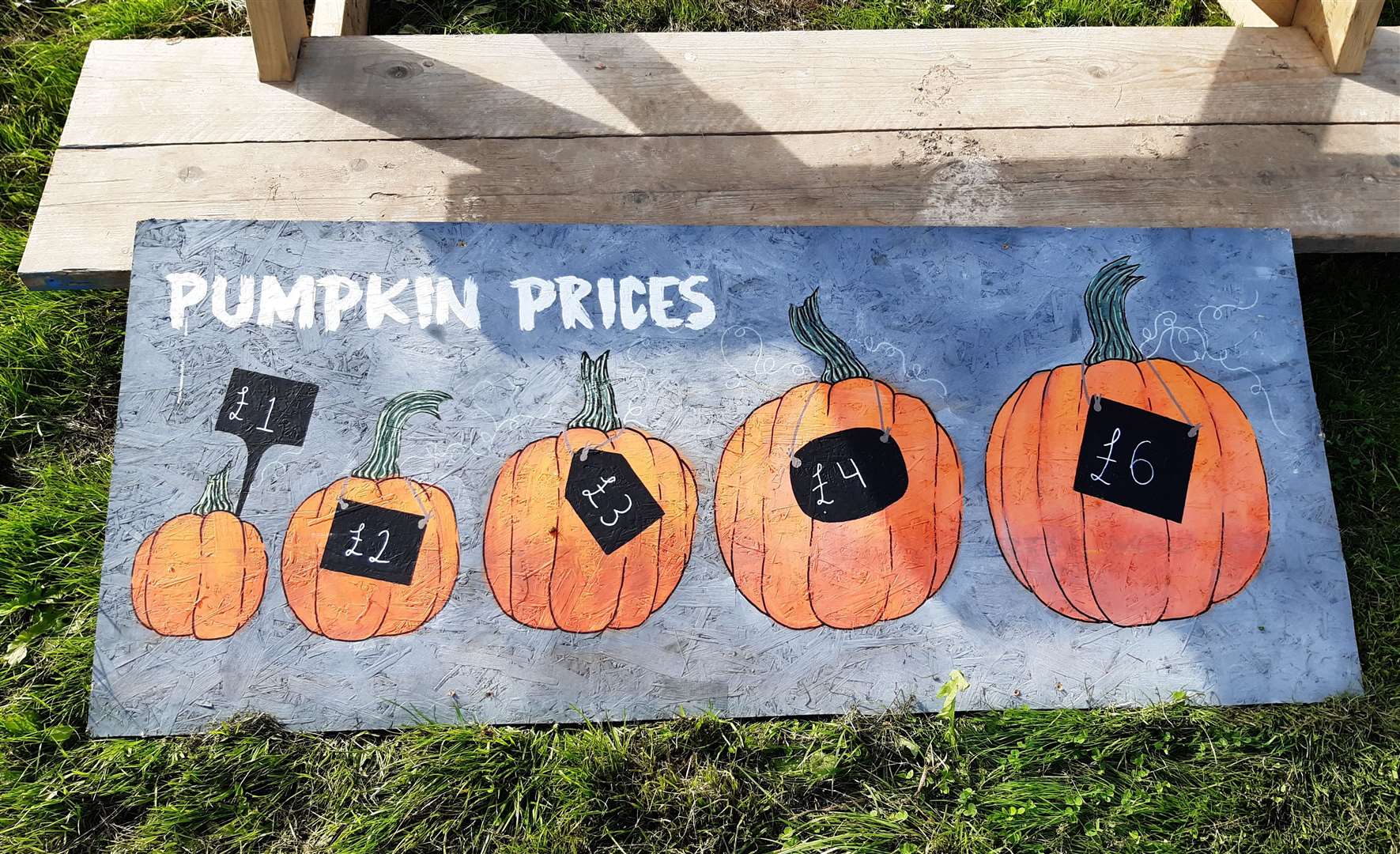Prices of pumpkins range from £1 to £6 at the farm