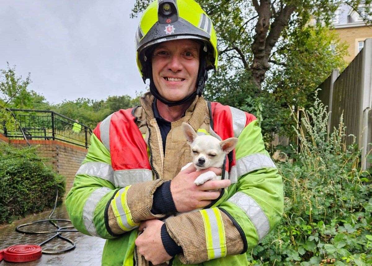 A firefighter with a dog rescued from a fire at a block of flats in Sandpiper Close, Greenhithe, on Saturday afternoon. Picture: Kent Fire and Rescue Service