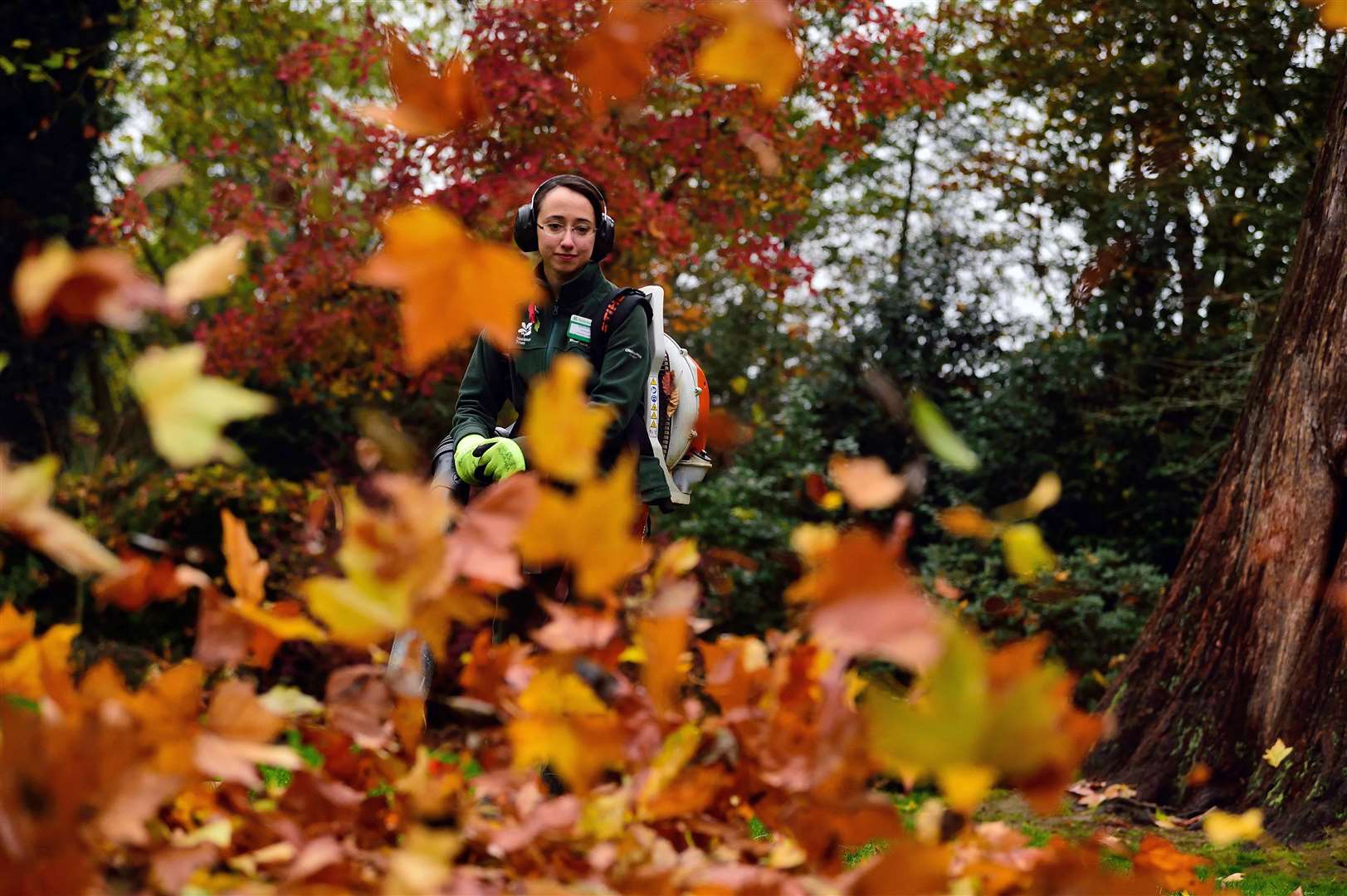 Kick your way through the autumn leaves at Scotney Castle. Picture: ©National Trust Images / John Millar