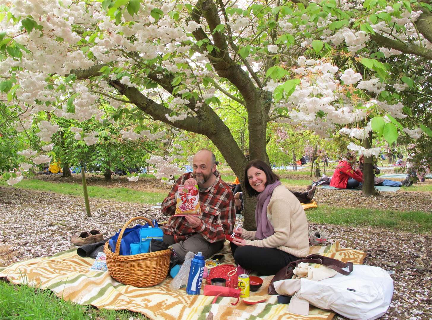 You can picnic under the blossom at Brogdale this month