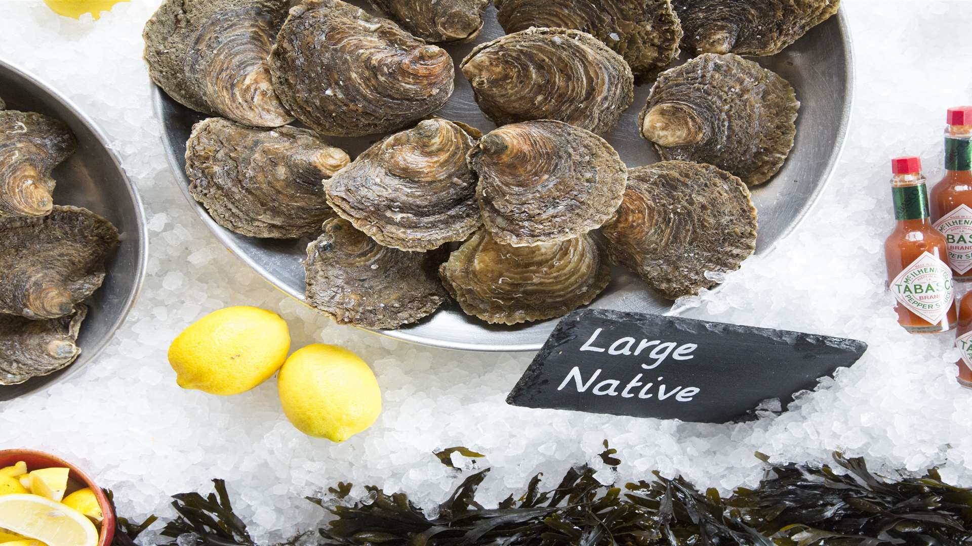 Oysters are making a strong revival