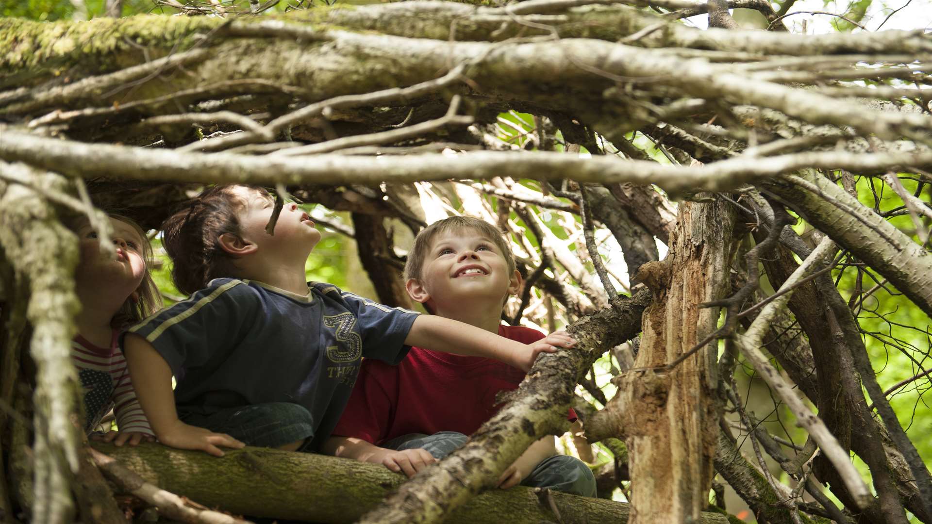 Let the kids run wild this half term Picture: National Trust