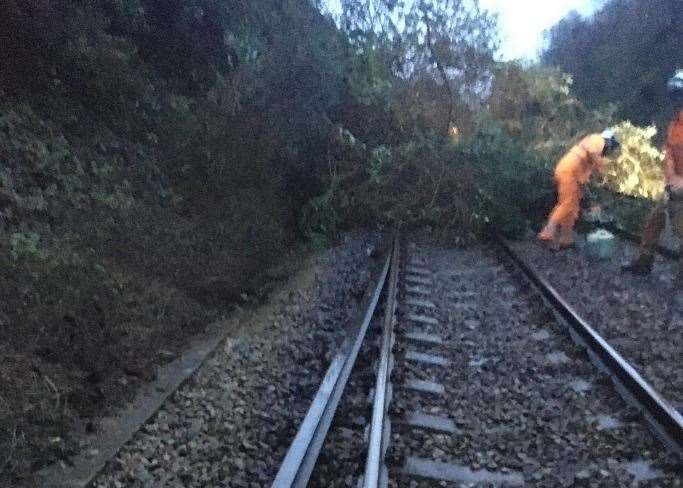 Network Rail moving a tree on the Medway Valley line between Halling and Cuxton.