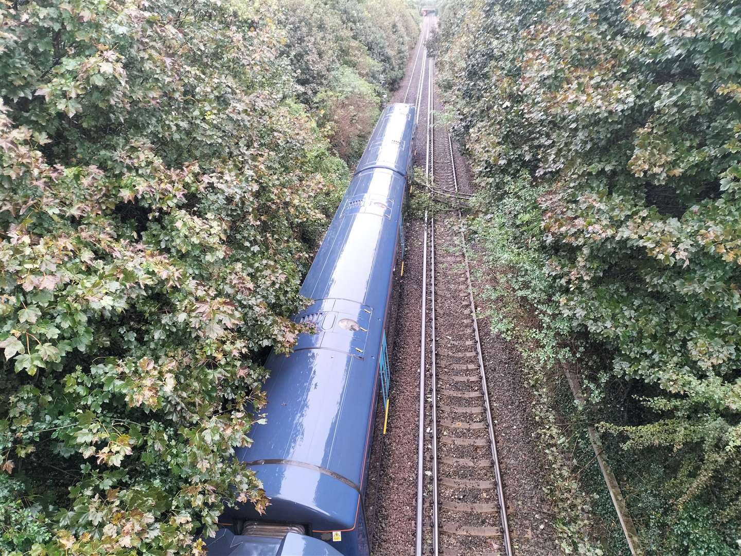 Train hits tree after leaving Broadstairs station. Picture: Mark Vaux