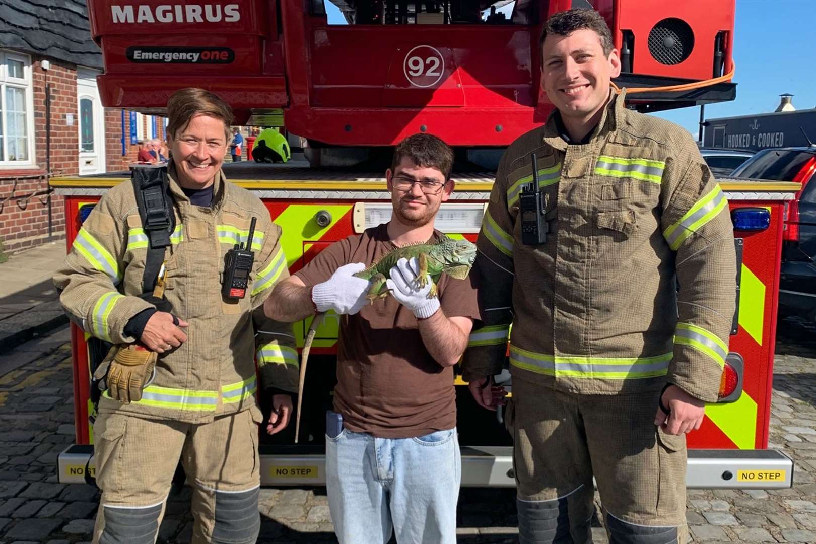 Ronnie the iguana (centre) was rescued today. Photo: KFRS