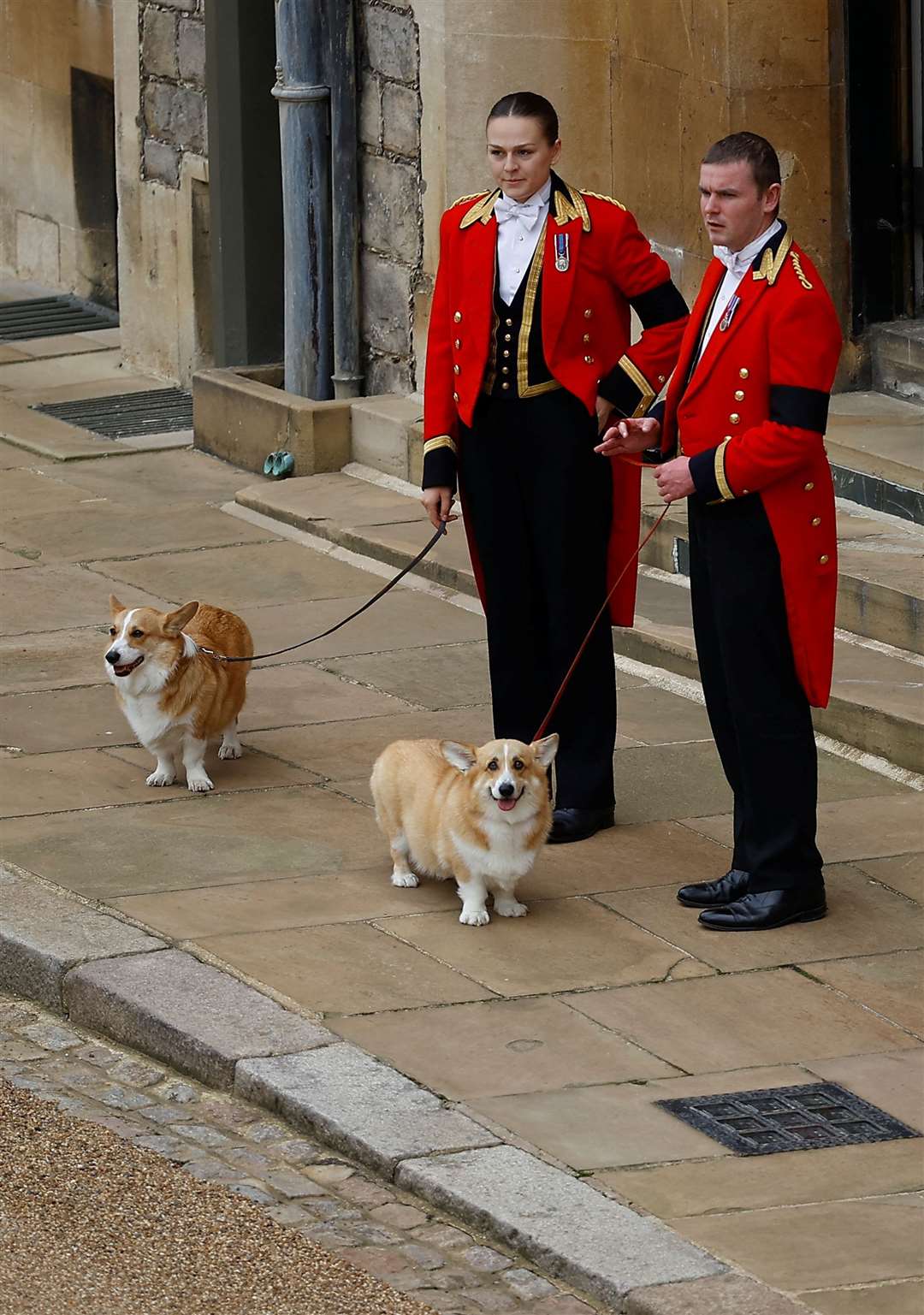 The Queen’s two corgis, Muick and Sandy as they await the Queen’s coffin (Peter Nicholls/PA)