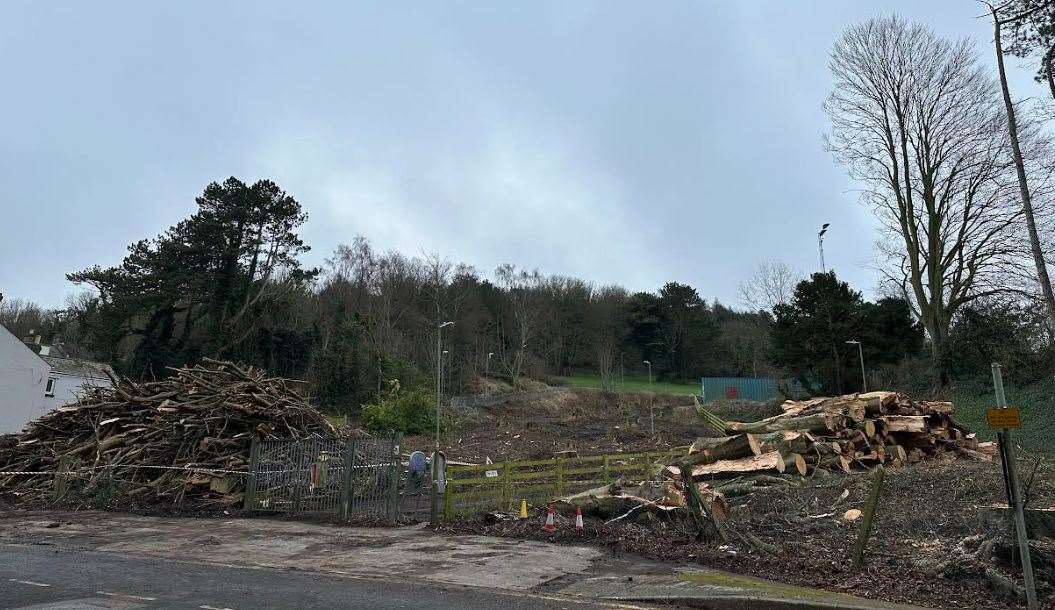 Piles of wood now lie where the trees used to be along Crabble Avenue. Picture: Nicola Davies