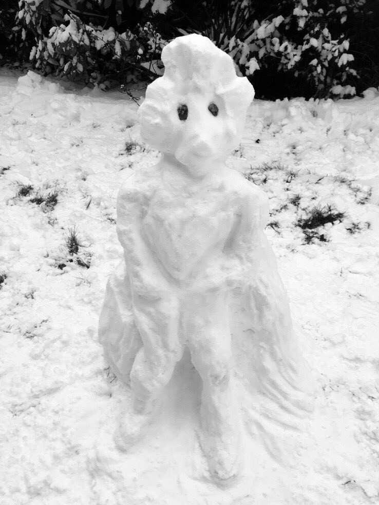 A very artistic snowperson! Picture: @georgiepud180