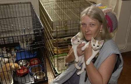 IN SAFE HANDS: Janet Fisher with two of the kittens found dumped. Picture: JOHN WARDLEY
