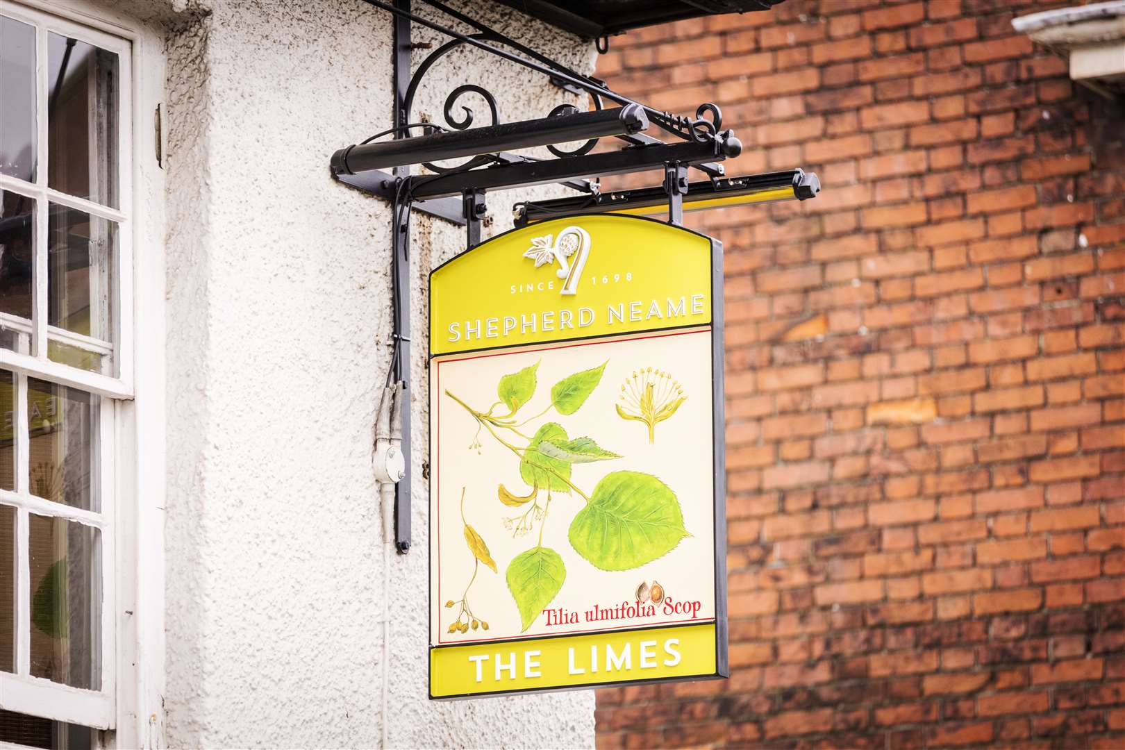 The Limes in Faversham