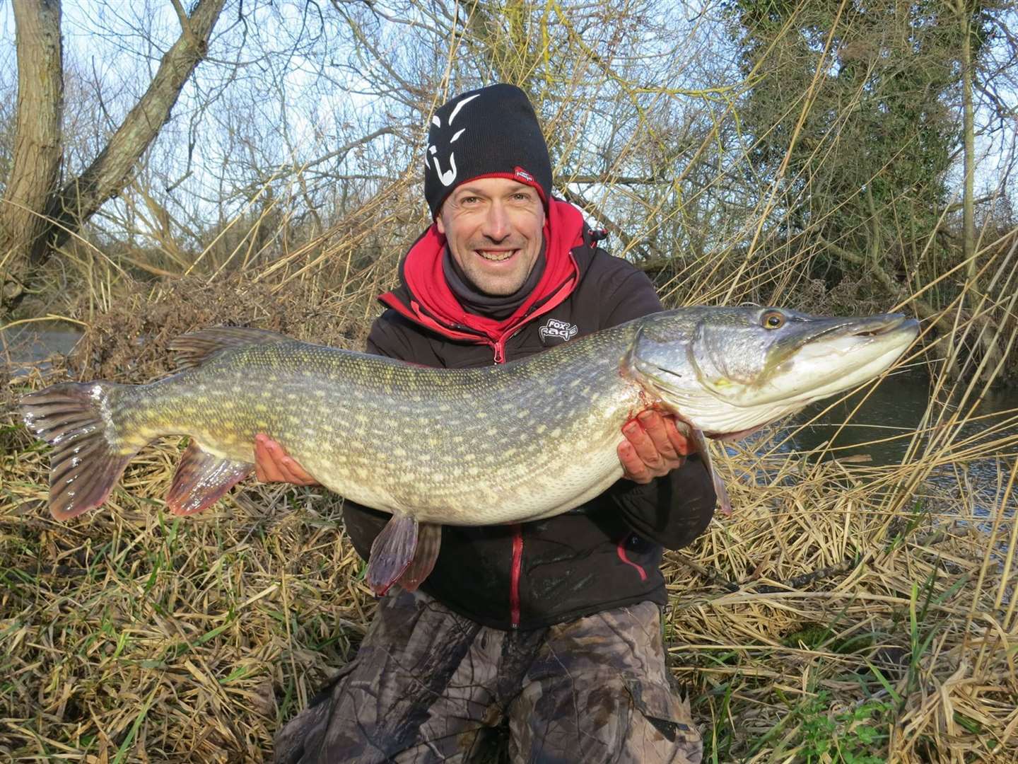 Care must be taken when catching pike